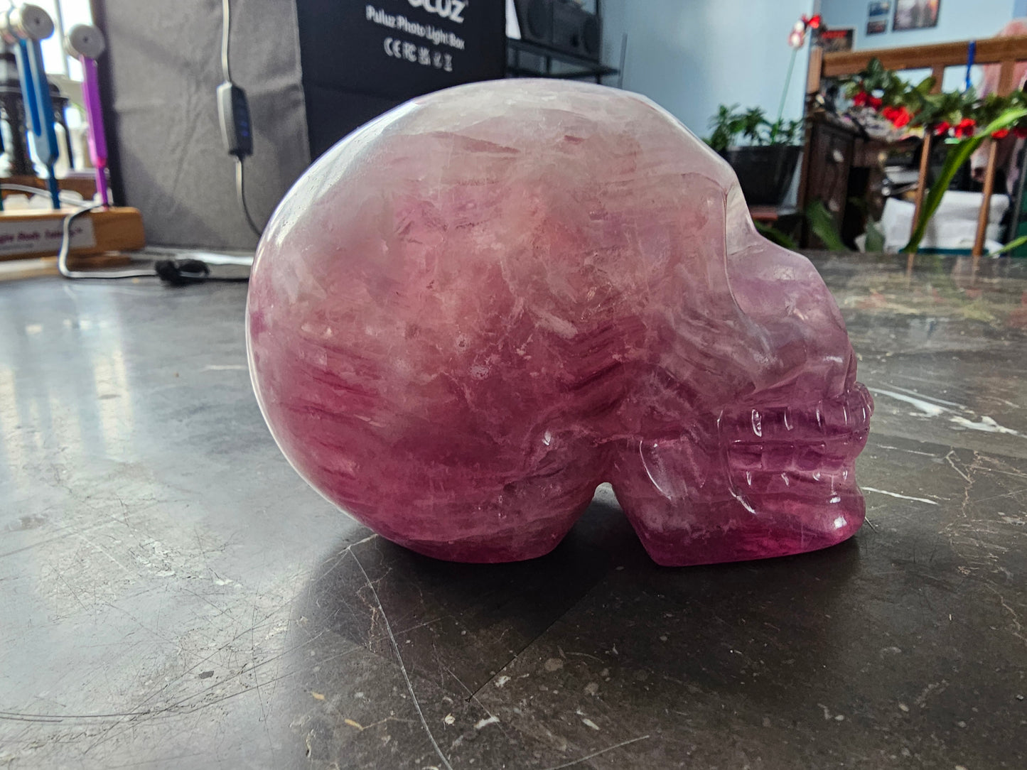 4.8" Rainbow Fluorite Skull w/ Rainbows
