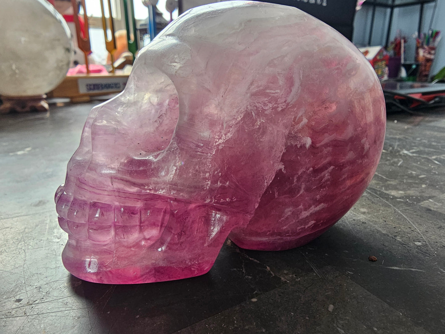4.8" Rainbow Fluorite Skull w/ Rainbows
