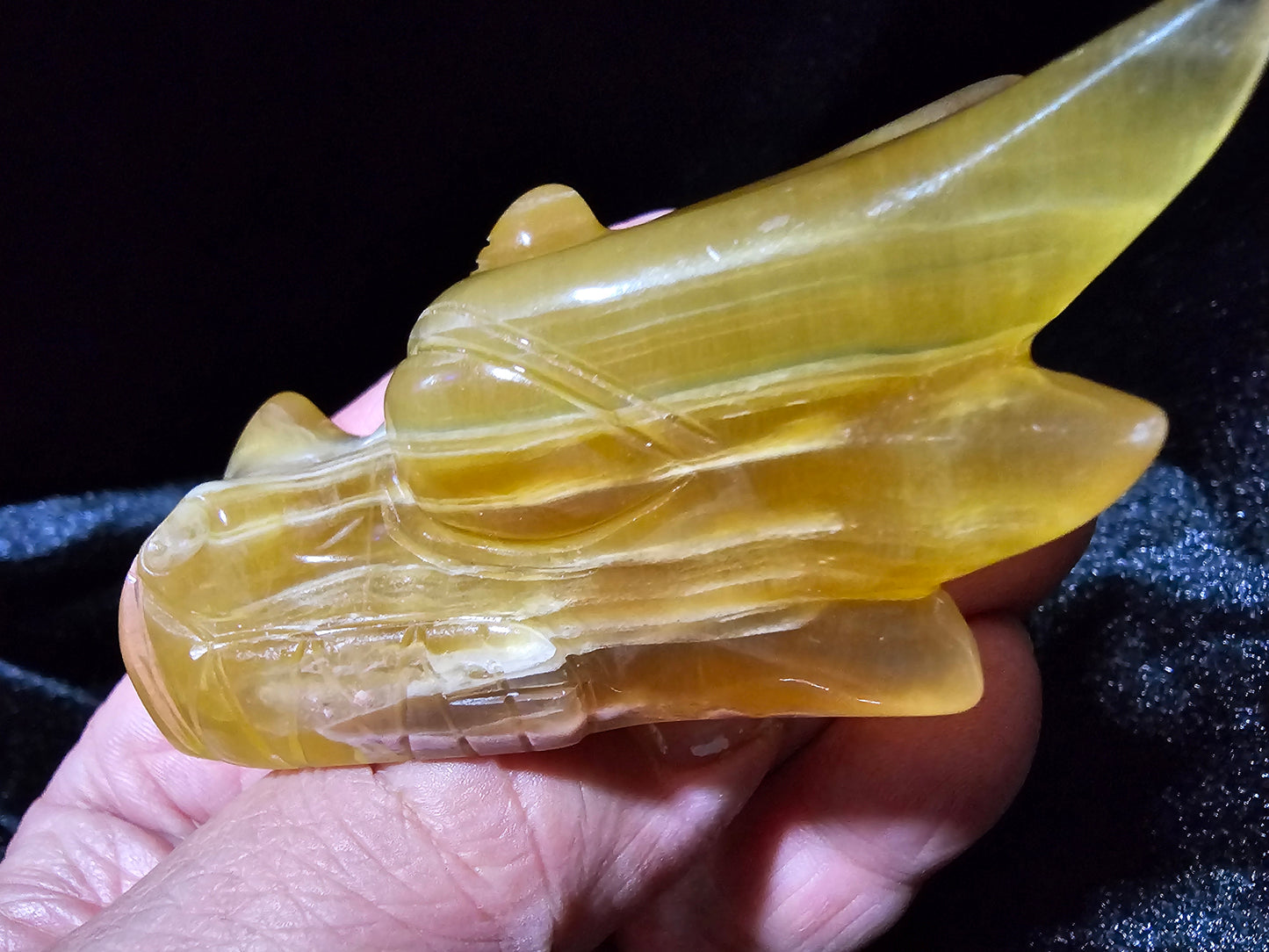 "Radiance" Leandro de Souza Golden Fluorite Dragon Skull w/ Rainbows