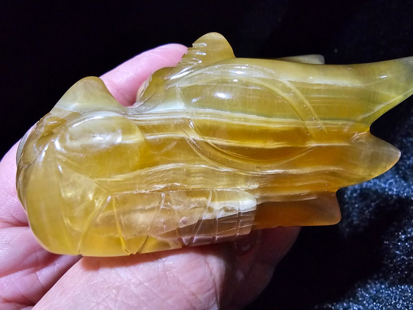 "Radiance" Leandro de Souza Golden Fluorite Dragon Skull w/ Rainbows