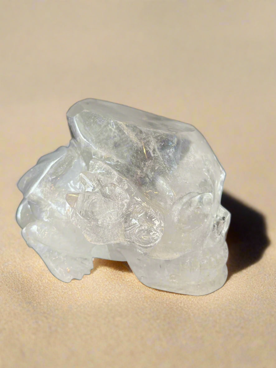 Leandro de Souza Lemurian Sirius Quartz Skull with Dragon