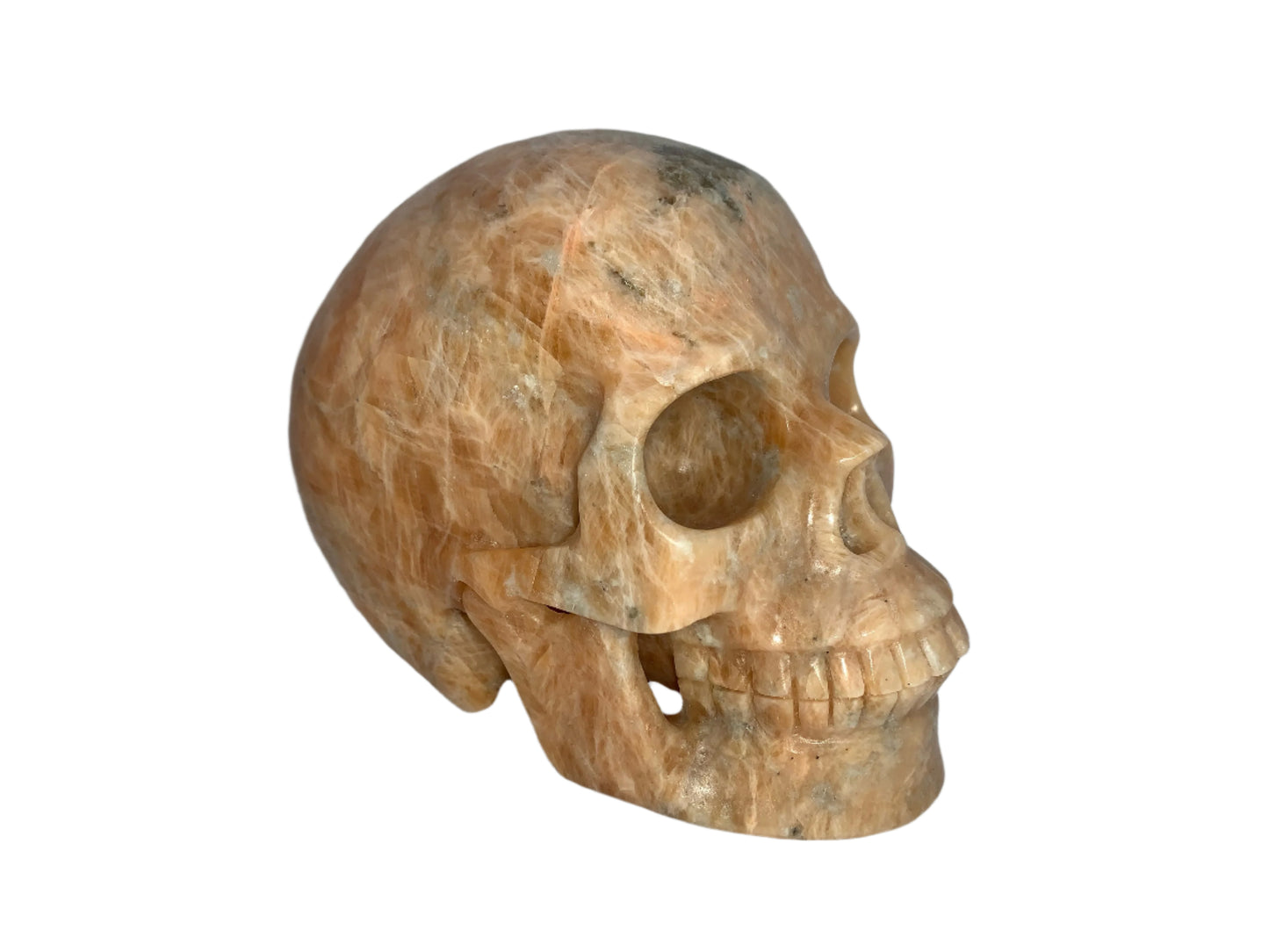 5.3" Sunstone Skull