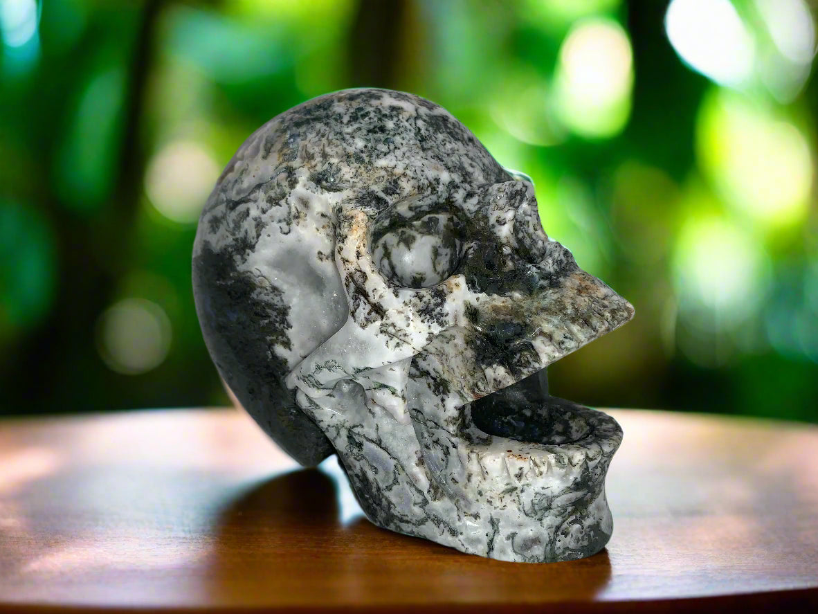 5.6" Moss Agate Singing Skull