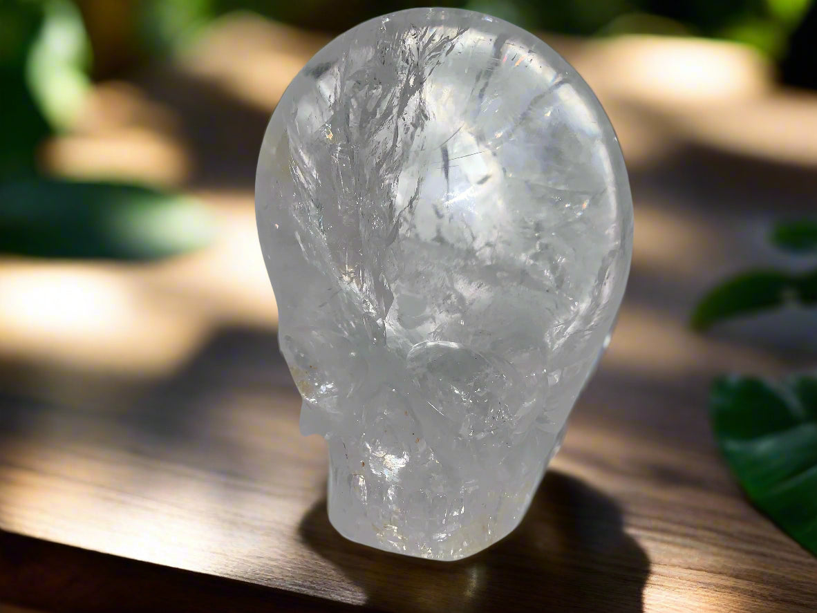 Himalayan Quartz Skull Star-brary w/ Rainbows