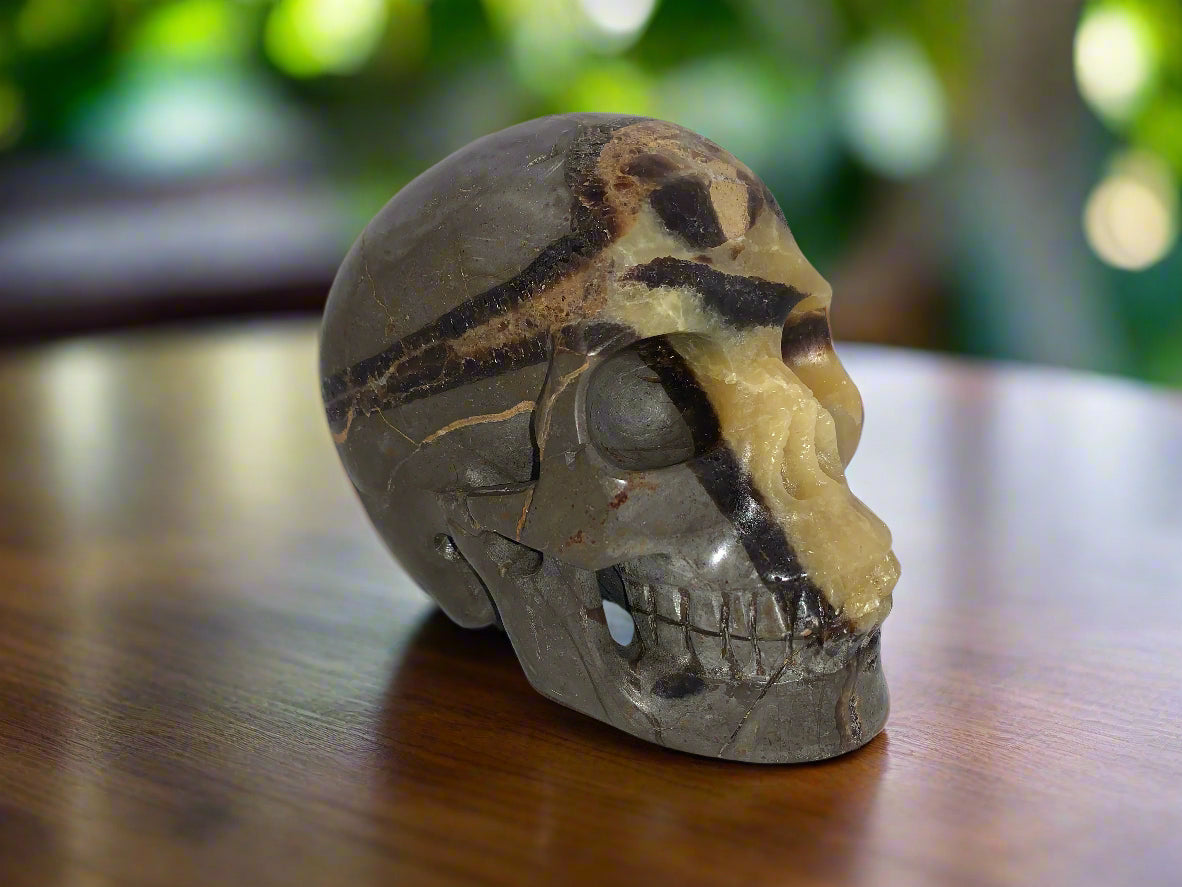 5.3" Septarian Skull