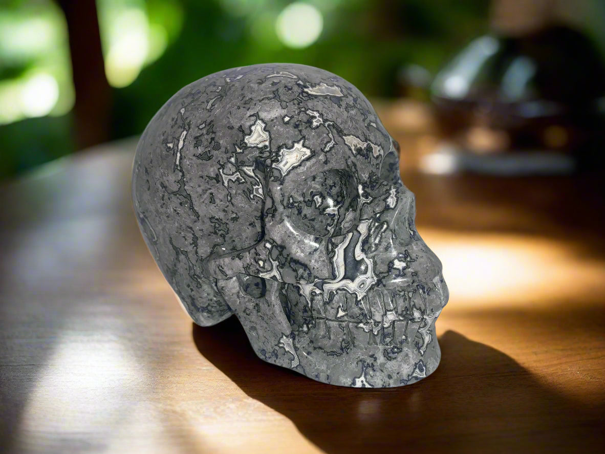5.4" Picasso Jasper Skull