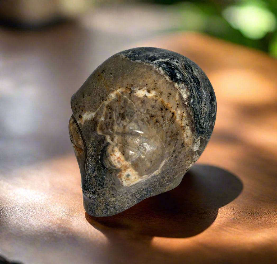 2.3" Pietersite Star Being Skull
