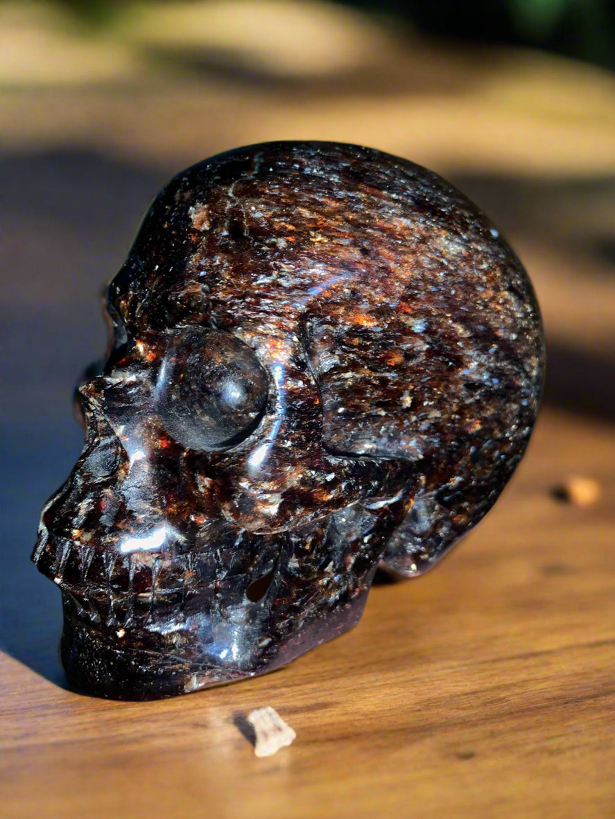 5.3" Garnet, Astrophyllite & Pyrite Skull