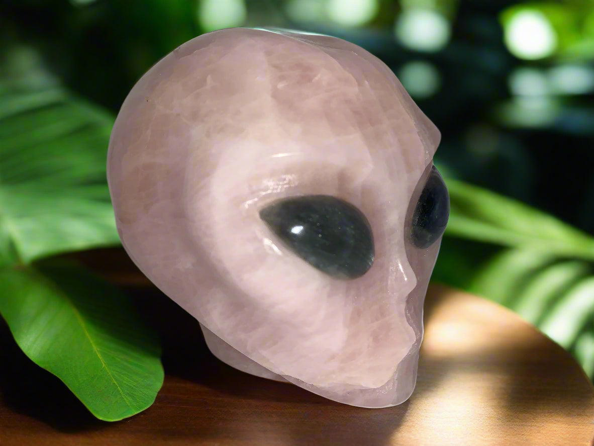 Ser estelar de cuarzo rosa de 4,8" con ojos de labradorita