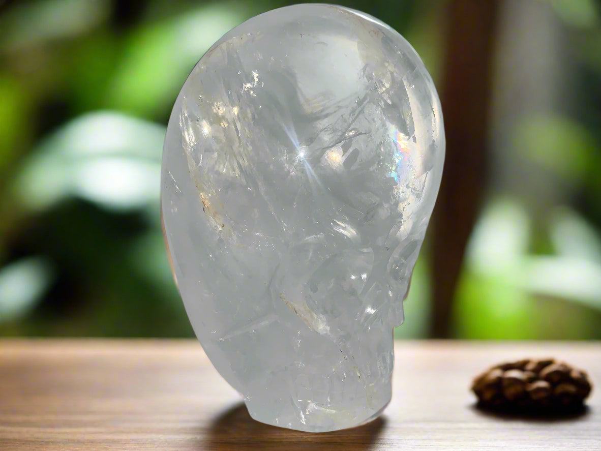 Himalayan Quartz Skull Star-brary w/ Rainbows