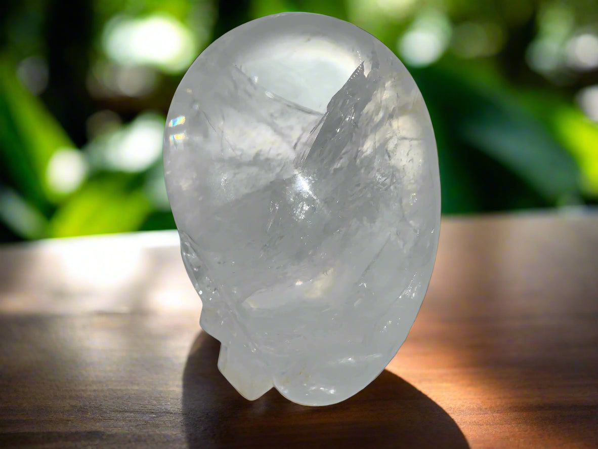 Himalayan Quartz Skull Star-brary w/ Rainbows