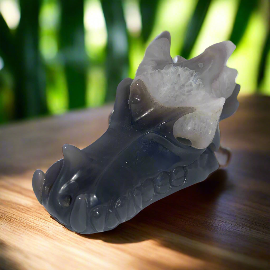 5.3" Gray Agate and White Quartz Dragon Skull