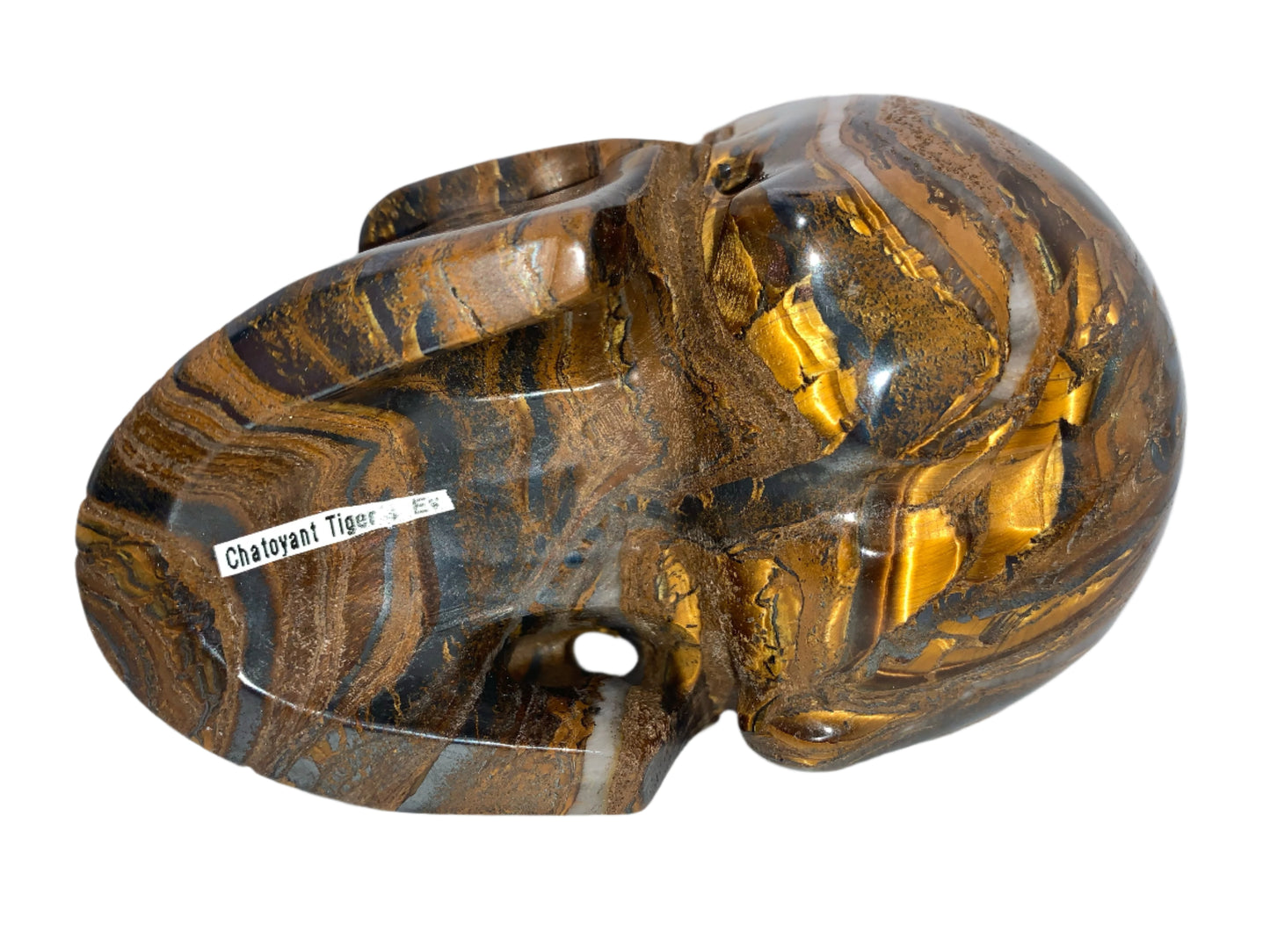 Cráneo de ojo de tigre Chatoyant de 5,2"