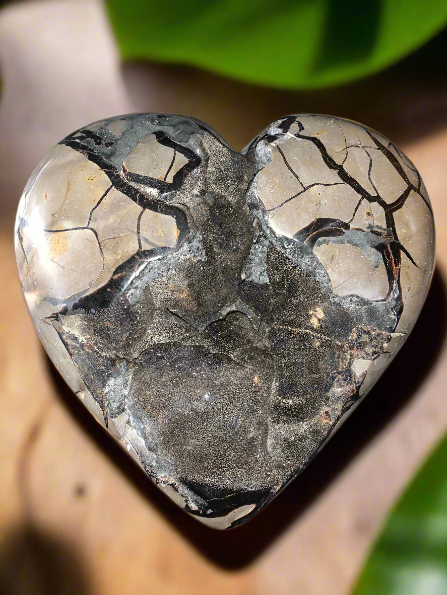 27lb Septarian, Argonite, Barite & Calcite Geode Heart