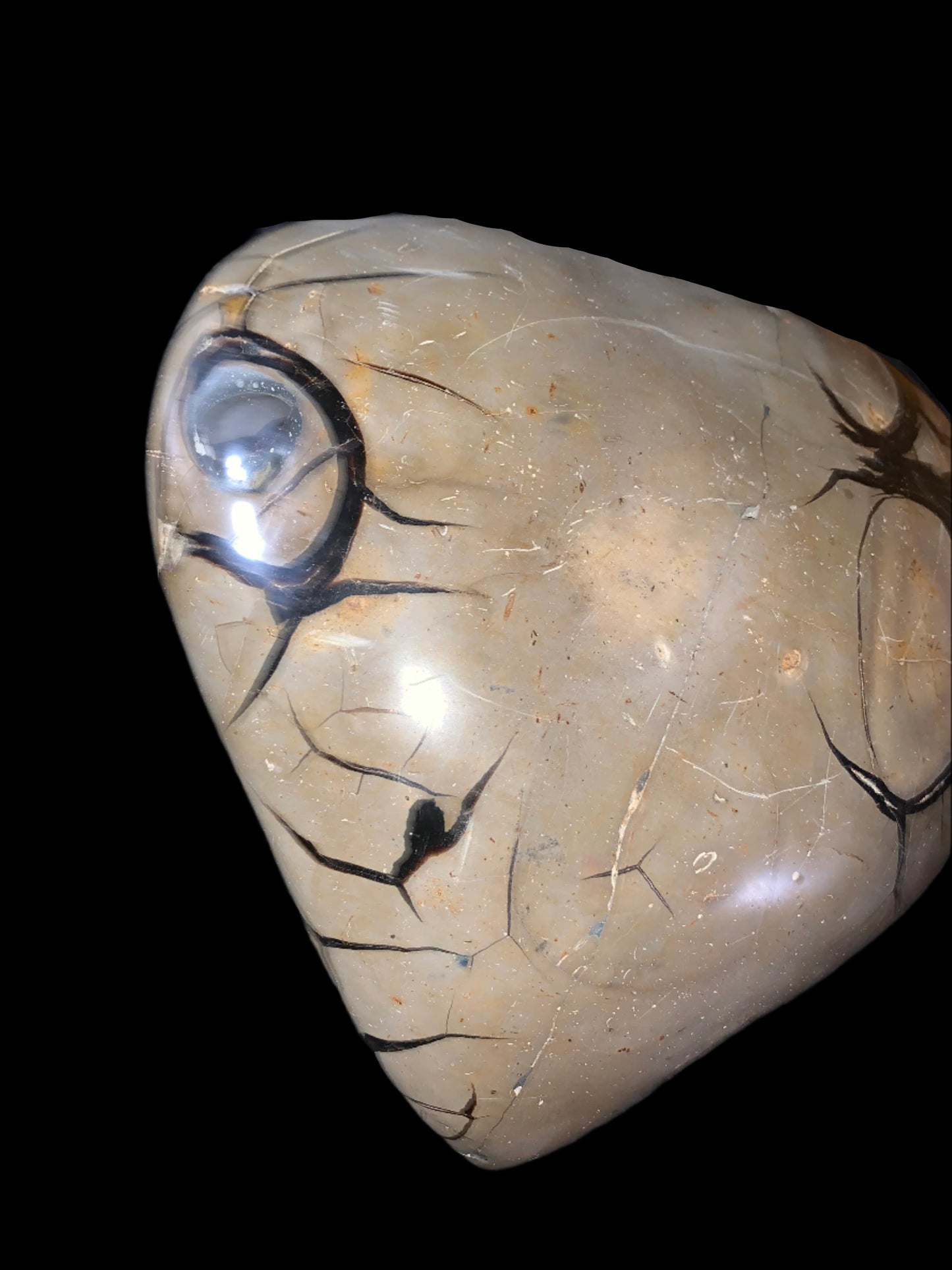 27lb Septarian, Argonite, Barite & Calcite Geode Heart