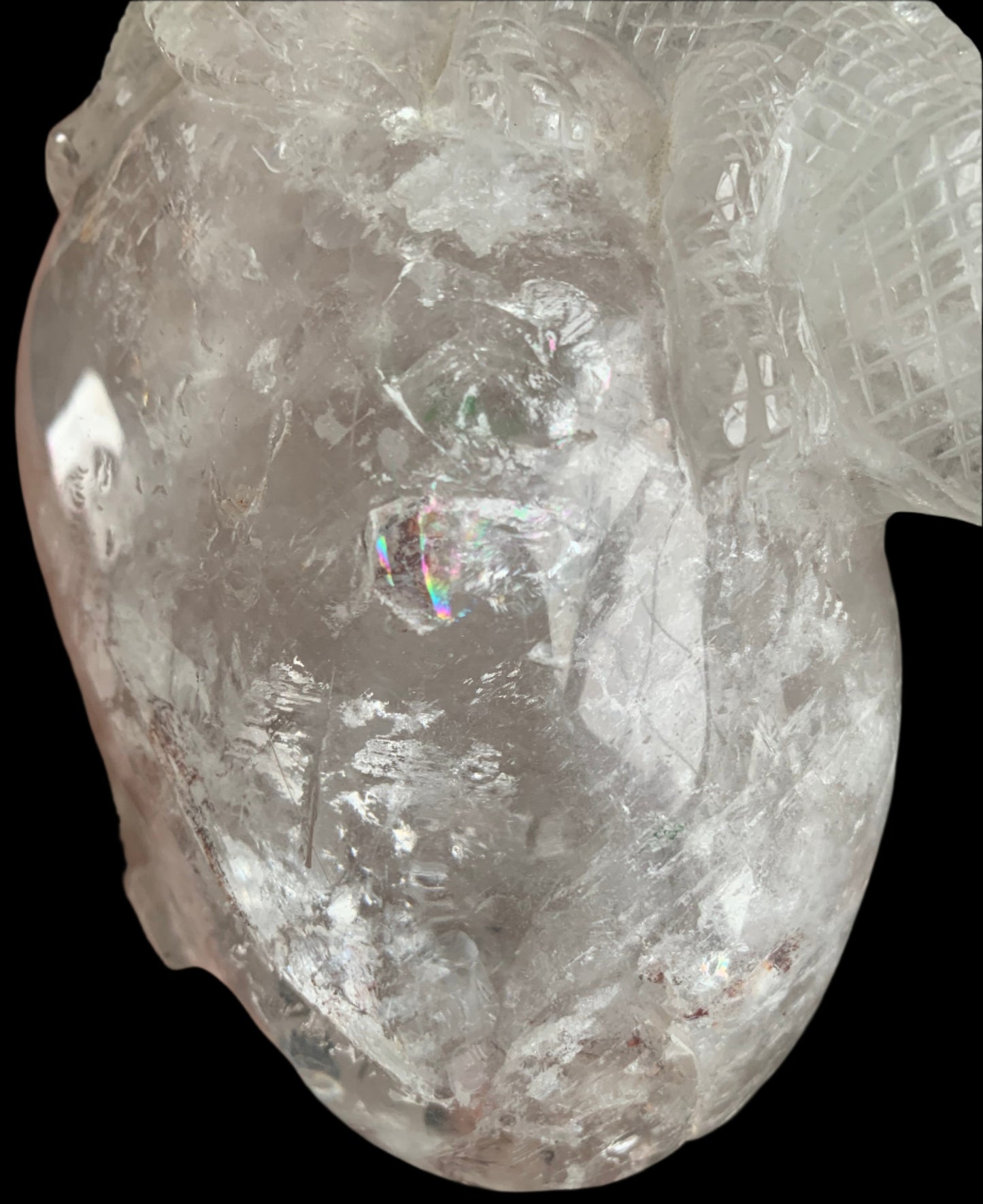 6.75" Copper Rutilated Quartz Lizard Skull w/ Rainbows