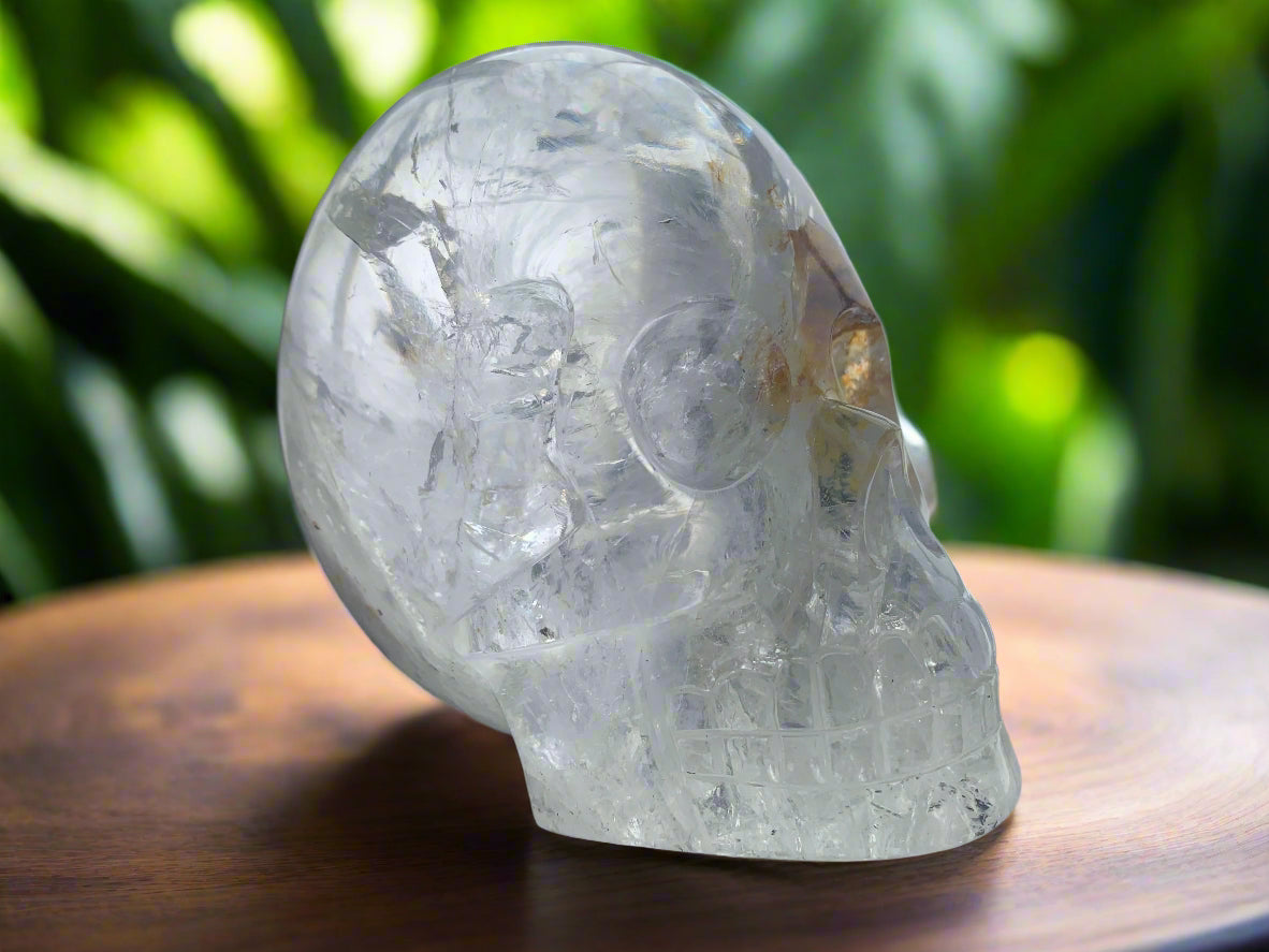 5" Himalayan Quartz Golden Healer Skull w/ Rainbows