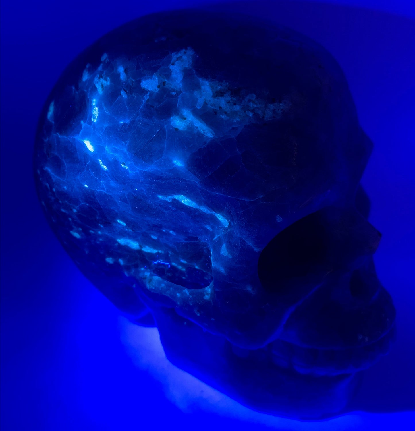 Cráneo de calcita azul de 5"