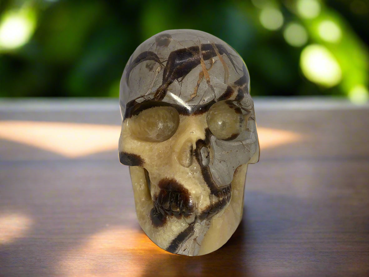 5.4" Septarian Skull