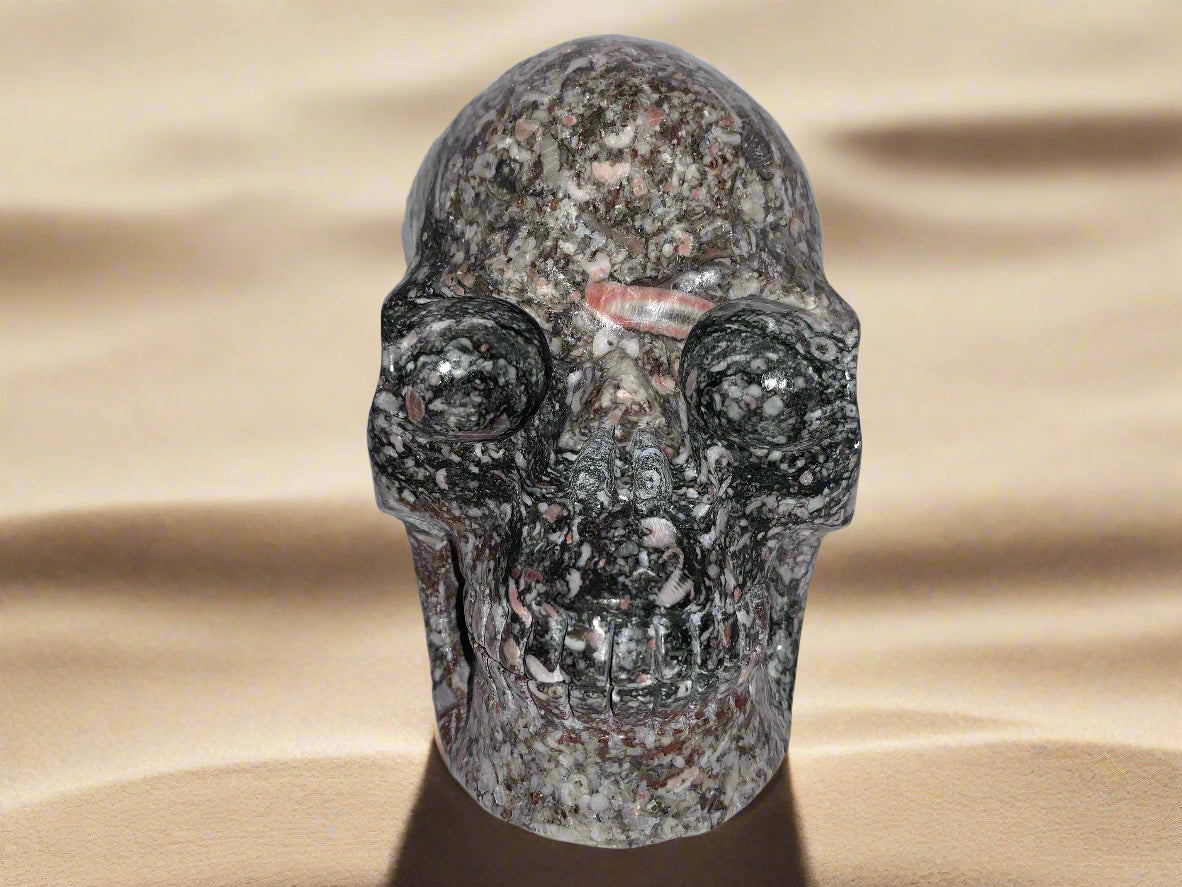 5" Crinoid Fossil Skull