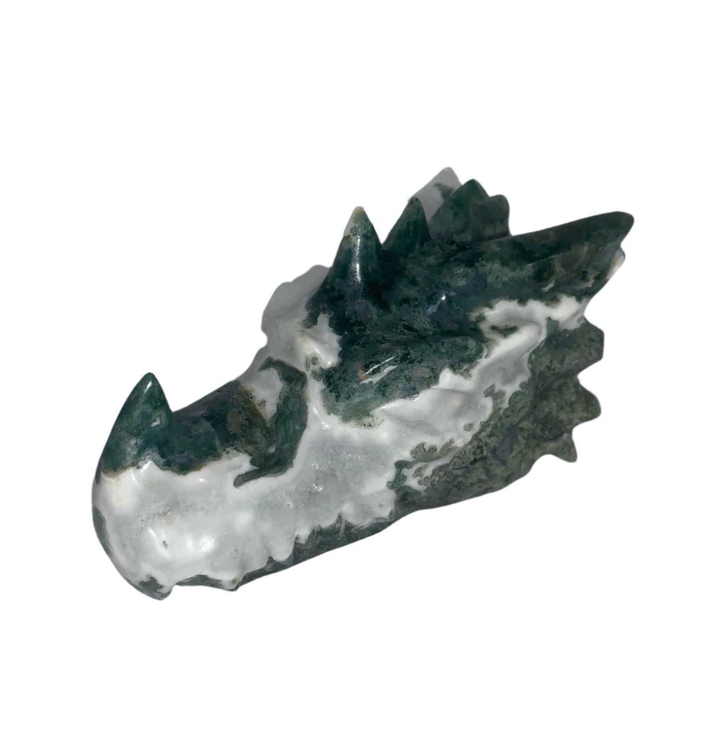 Tree Moss Agate Druzy 5.5" Dragon Skull