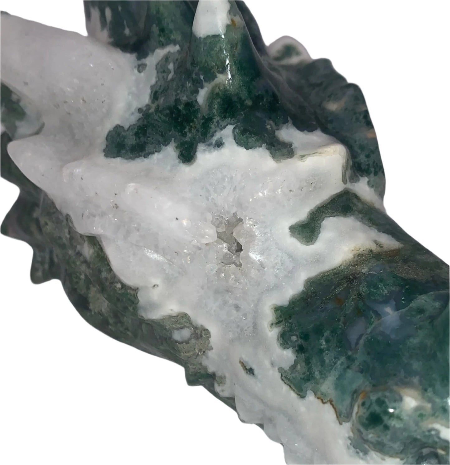 Tree Moss Agate Druzy 5.5" Dragon Skull