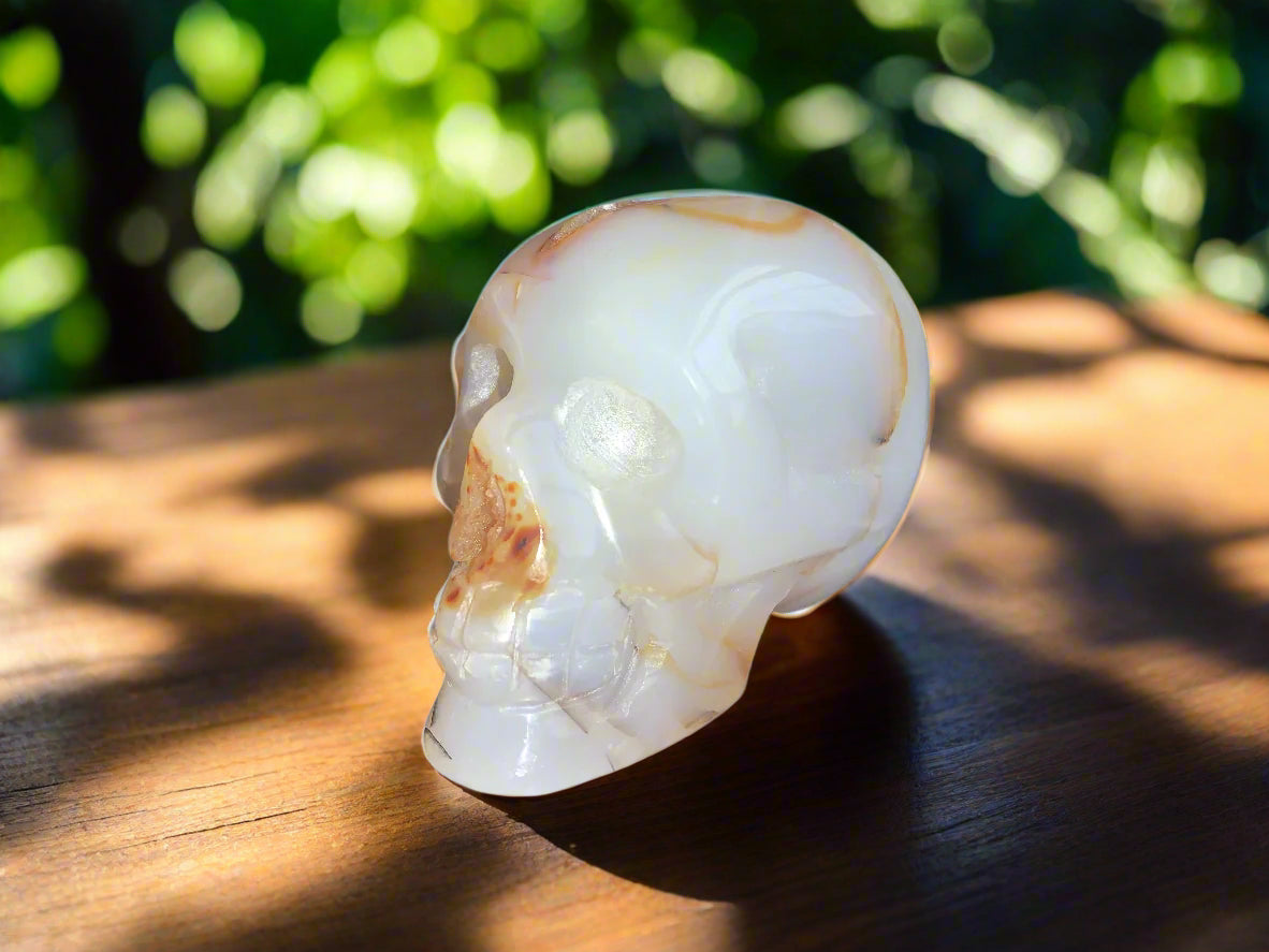 3" Chalcedony & Carnelian Skull w/ Druzy