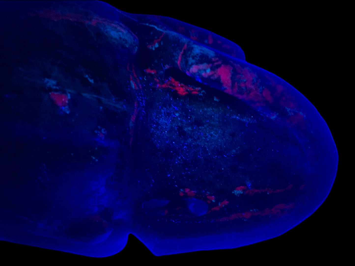 5.3" Ruby Zoisite Skull