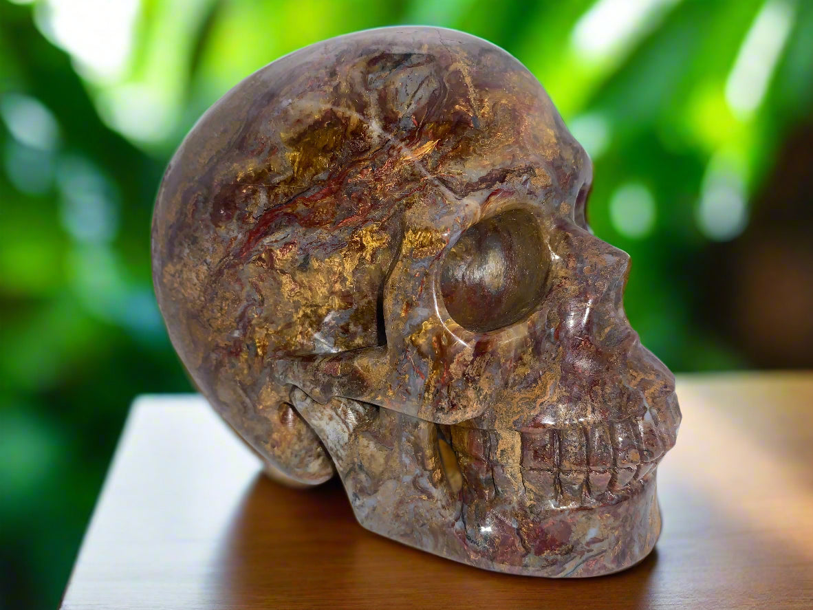 5.4" Pietersite Skull