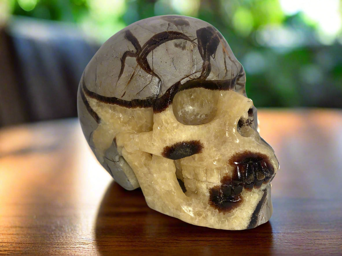 5.4" Septarian Skull