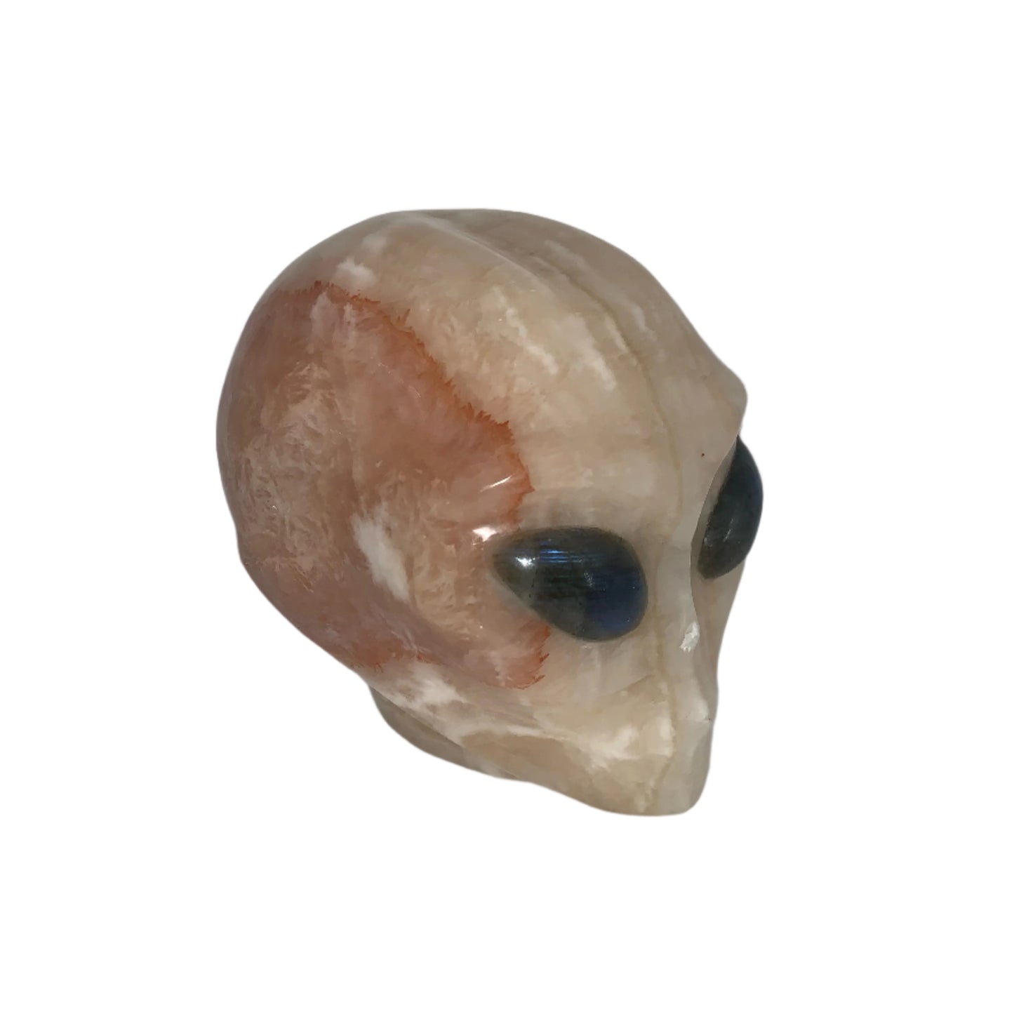 Calavera con forma de estrella de calcita naranja de 4,8" y drusa