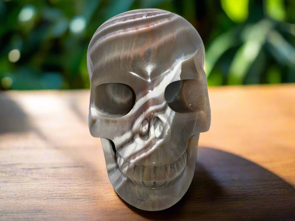 5.4" Onyx Agate Skull
