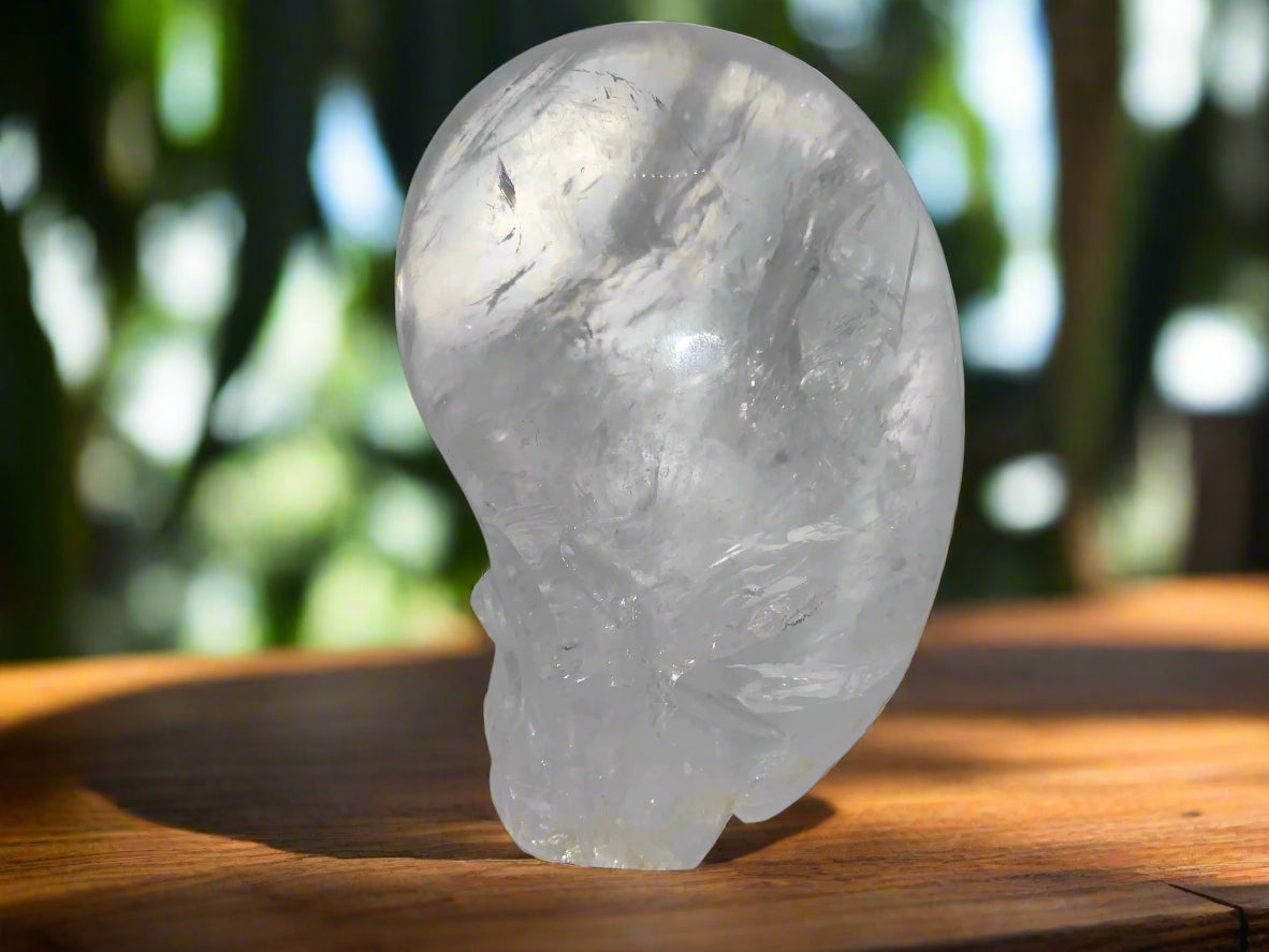 Himalayan Quartz Skull Star-brary w/ Rainbows
