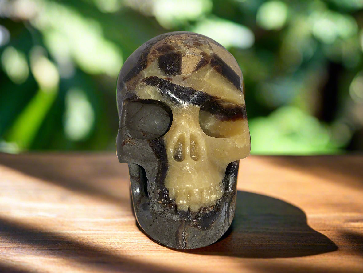 5.3" Septarian Skull
