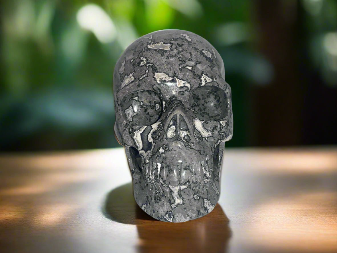 5.4" Picasso Jasper Skull