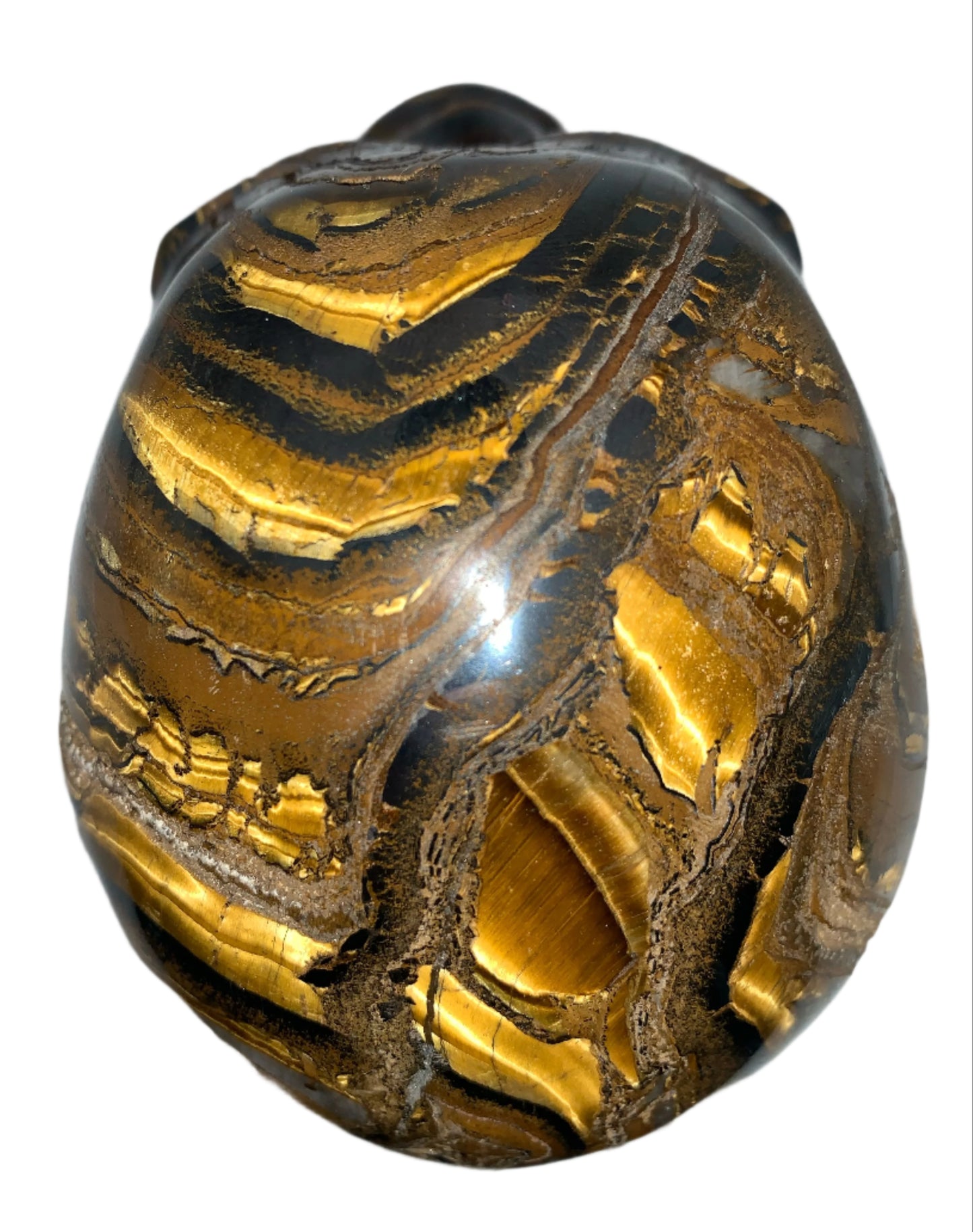 Cráneo de ojo de tigre Chatoyant de 5,2"