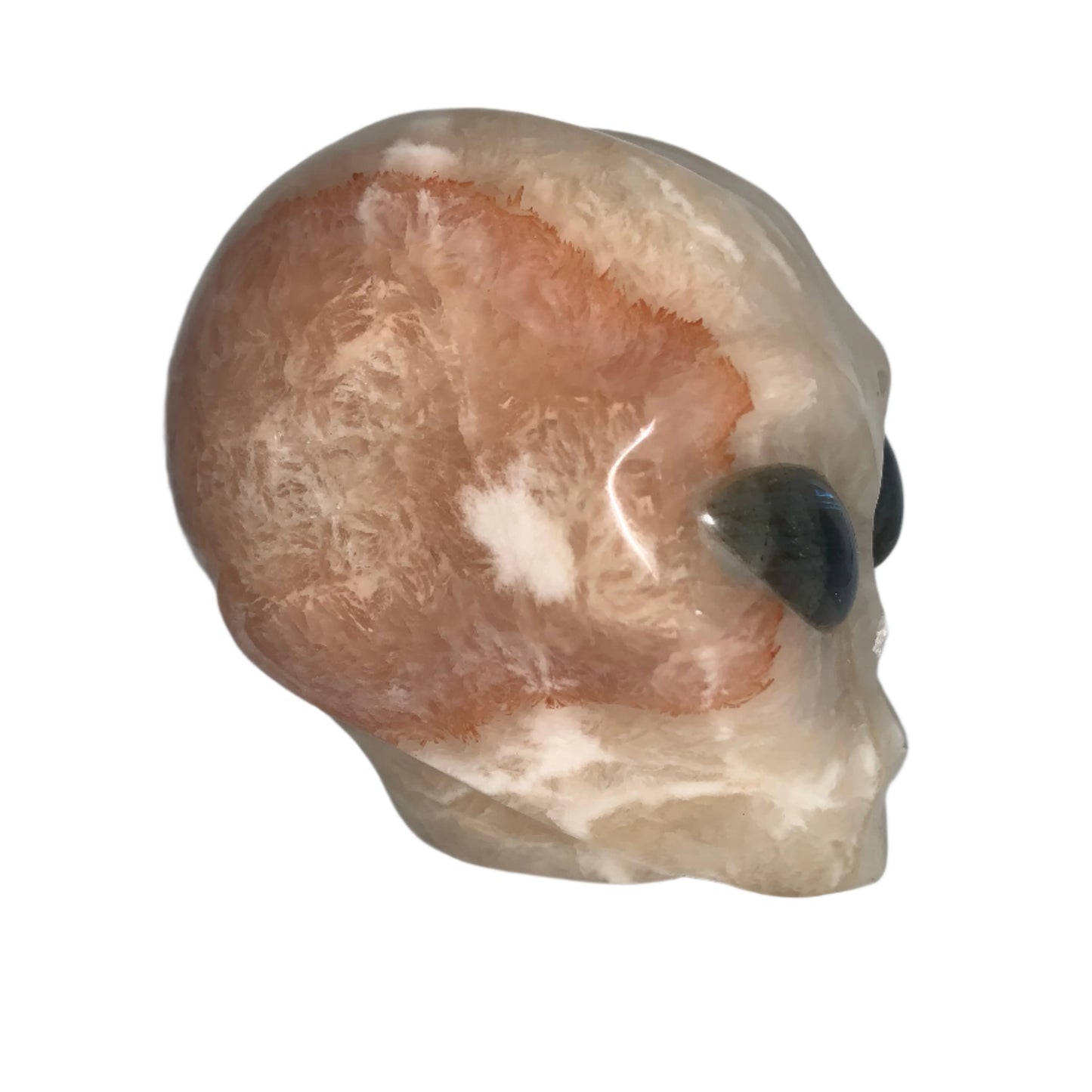 Calavera con forma de estrella de calcita naranja de 4,8" y drusa