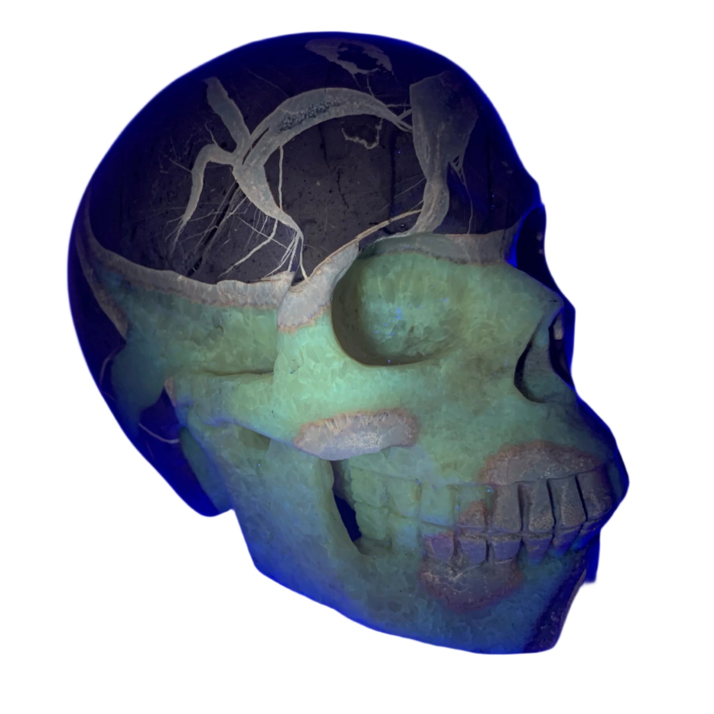 5.4" Septarian Skull