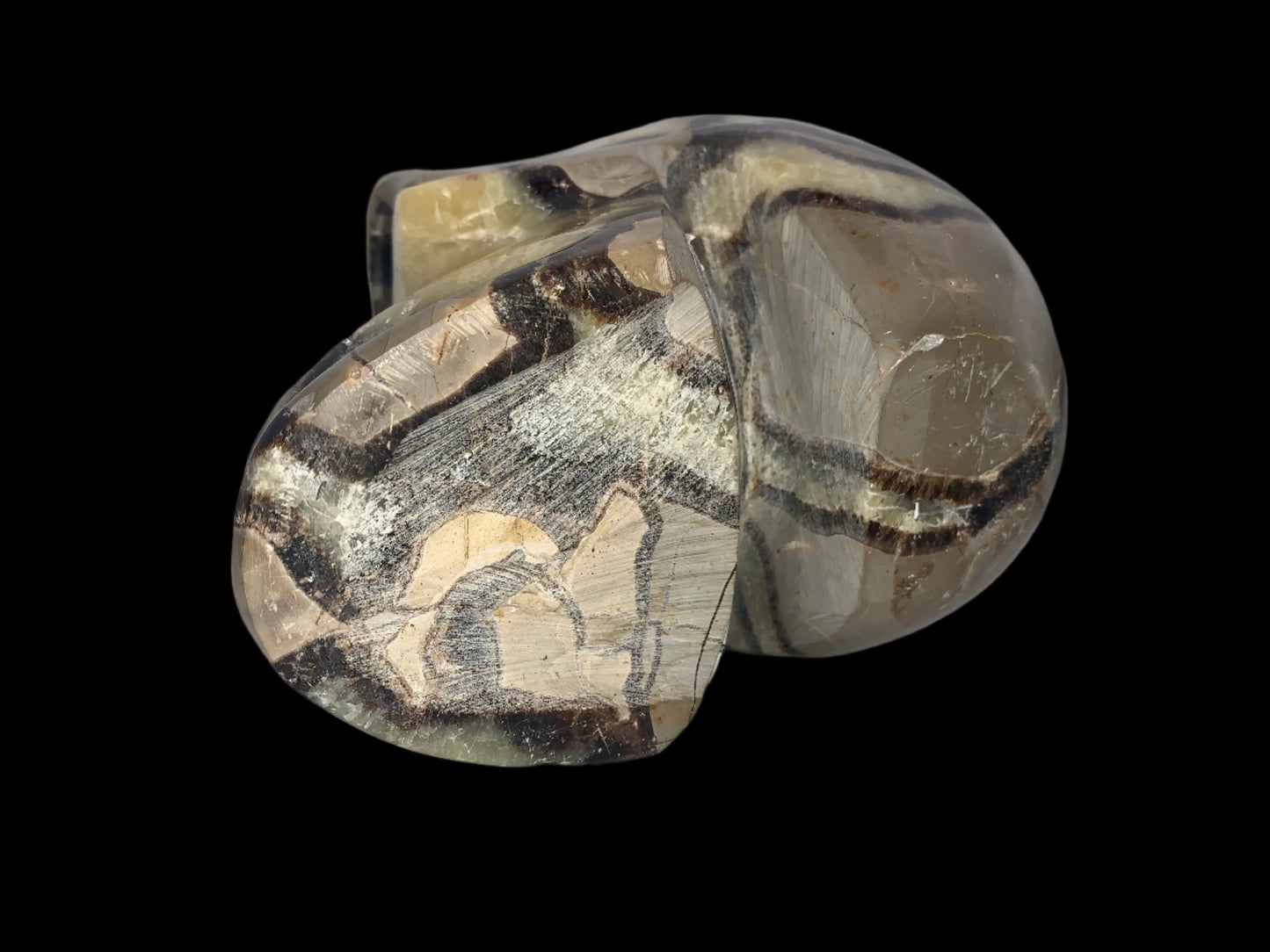 Cráneo de geoda septaria de 7,5" y 8 libras