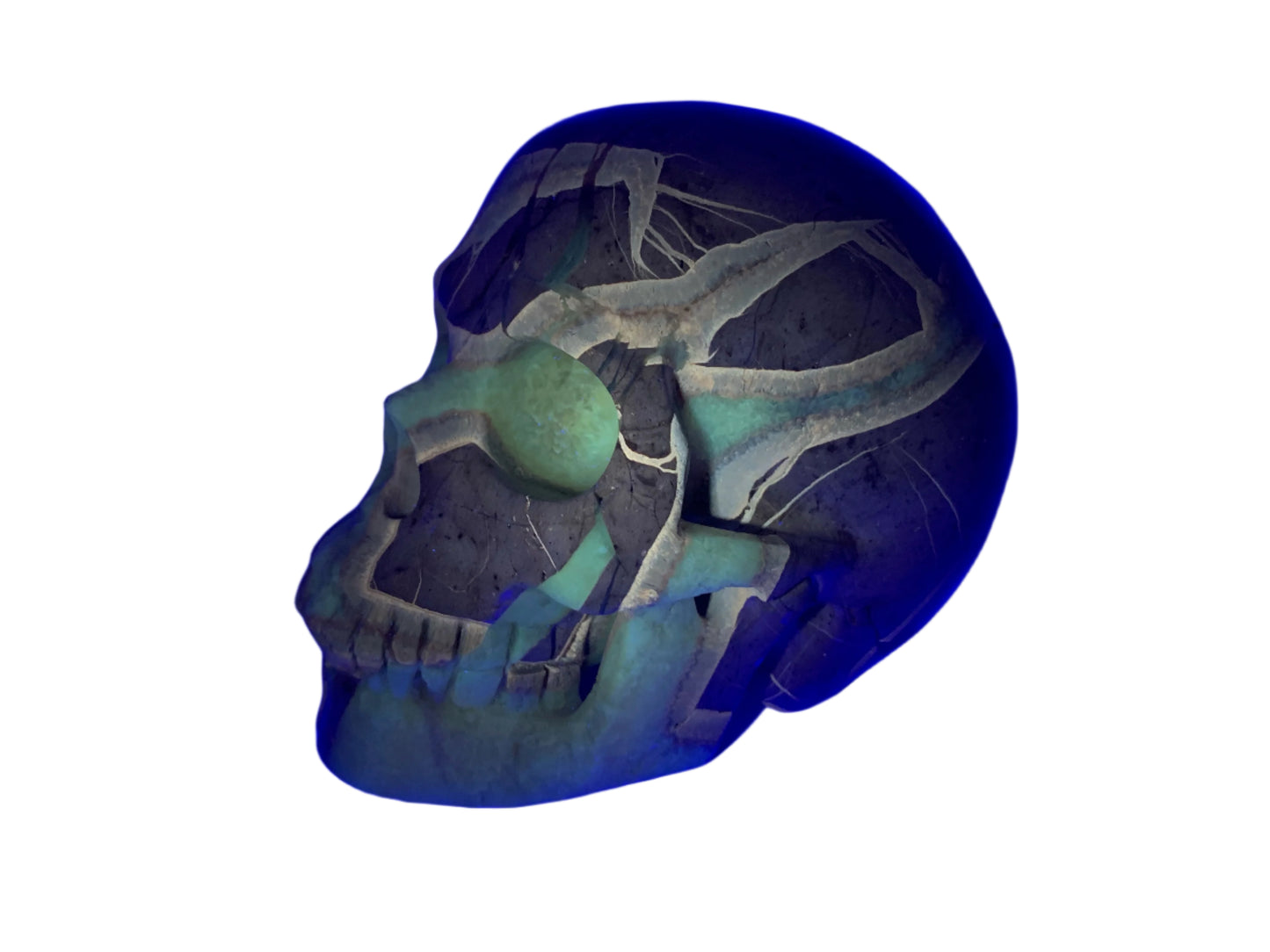 5.4" Septarian Skull