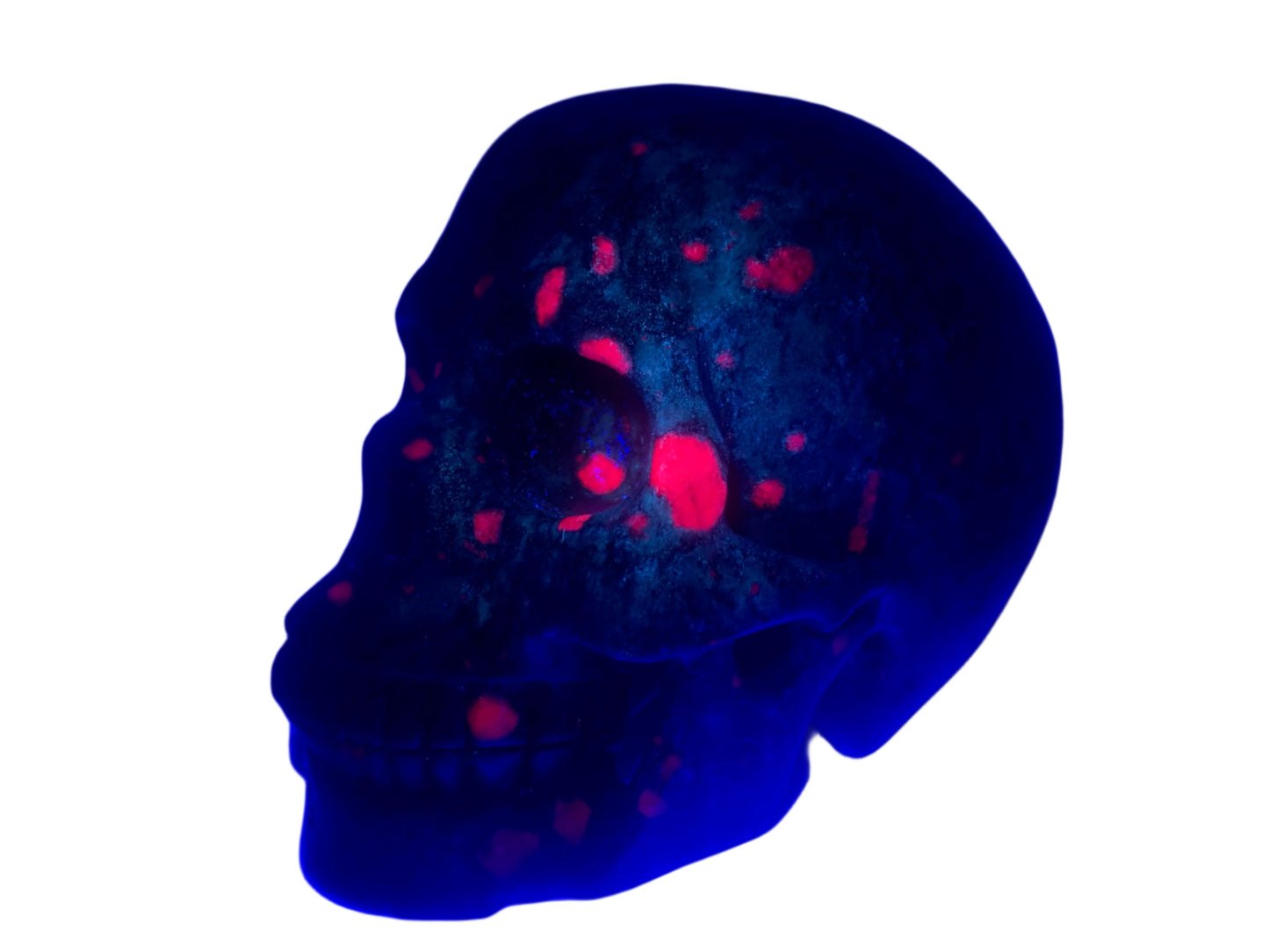 5.3" Ruby Fuchsite Skull