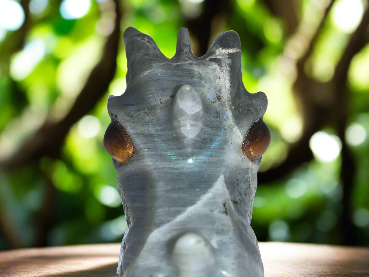 4.1" Labradorite Dragon Skull w/ Orange Chatoyancy & Tiger Eye Eyes