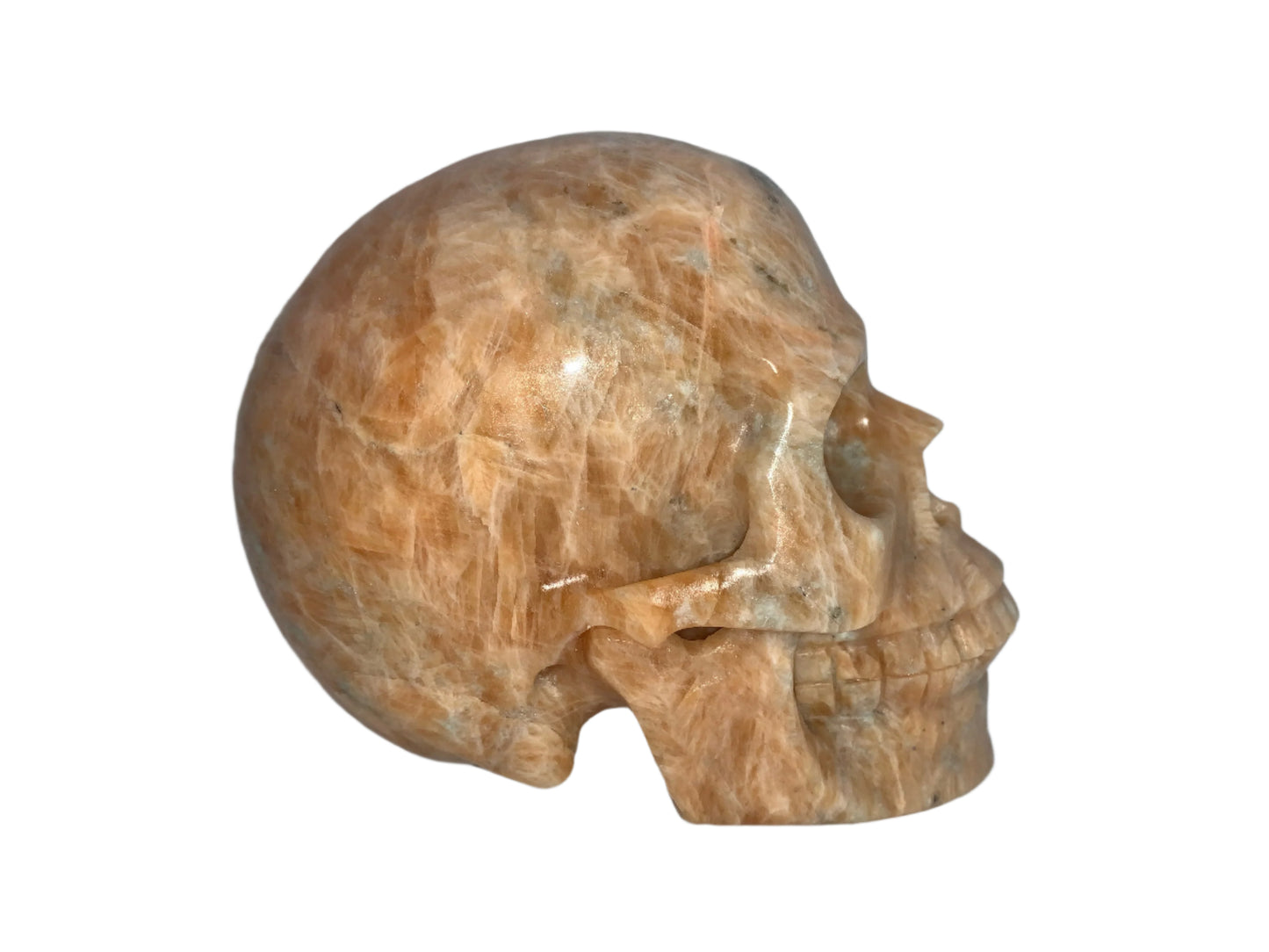 5.3" Sunstone Skull