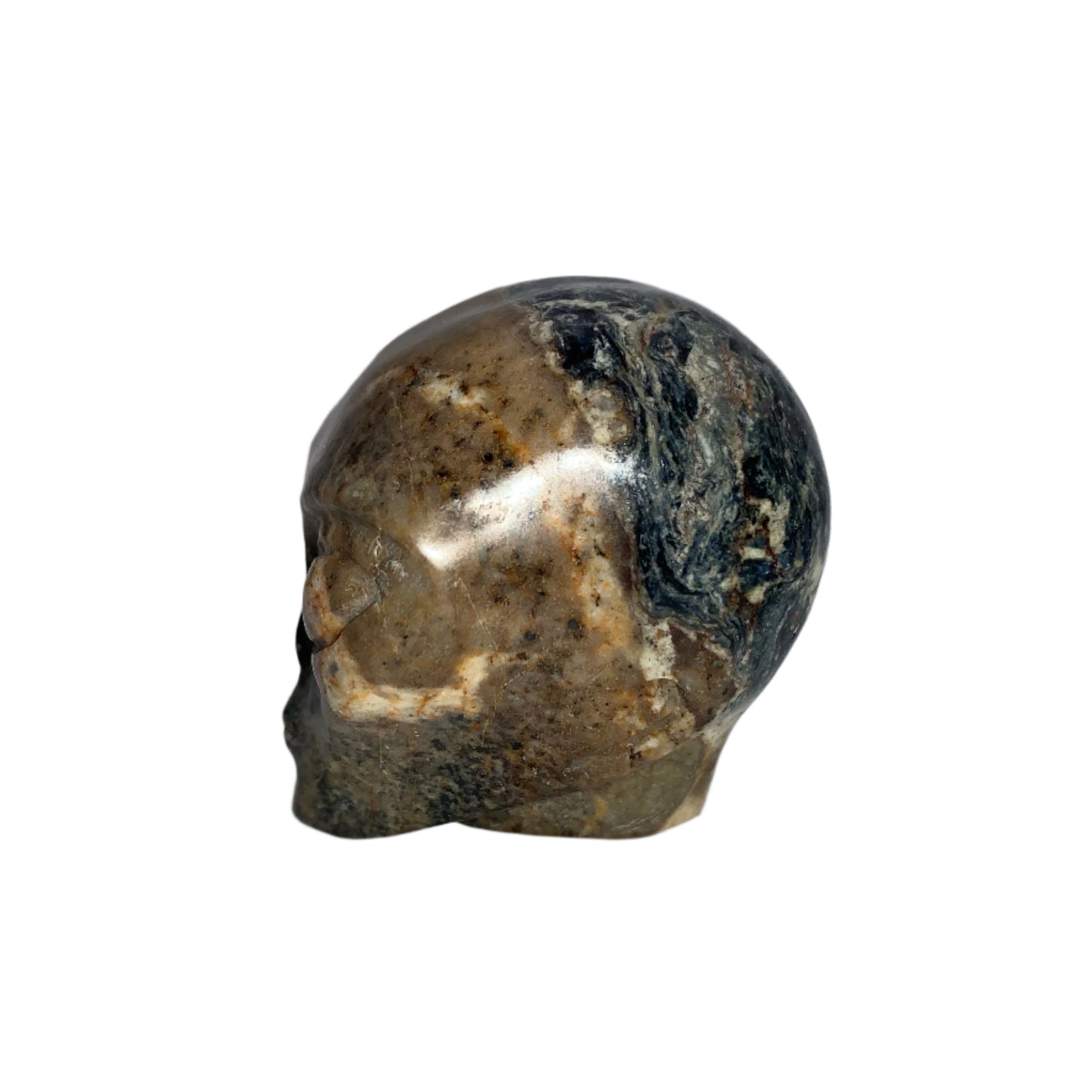 2.3" Pietersite Star Being Skull