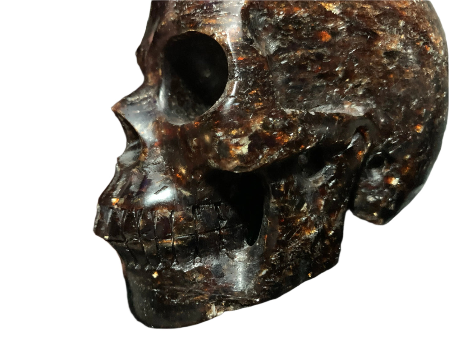 5.3" Garnet, Astrophyllite & Pyrite Skull
