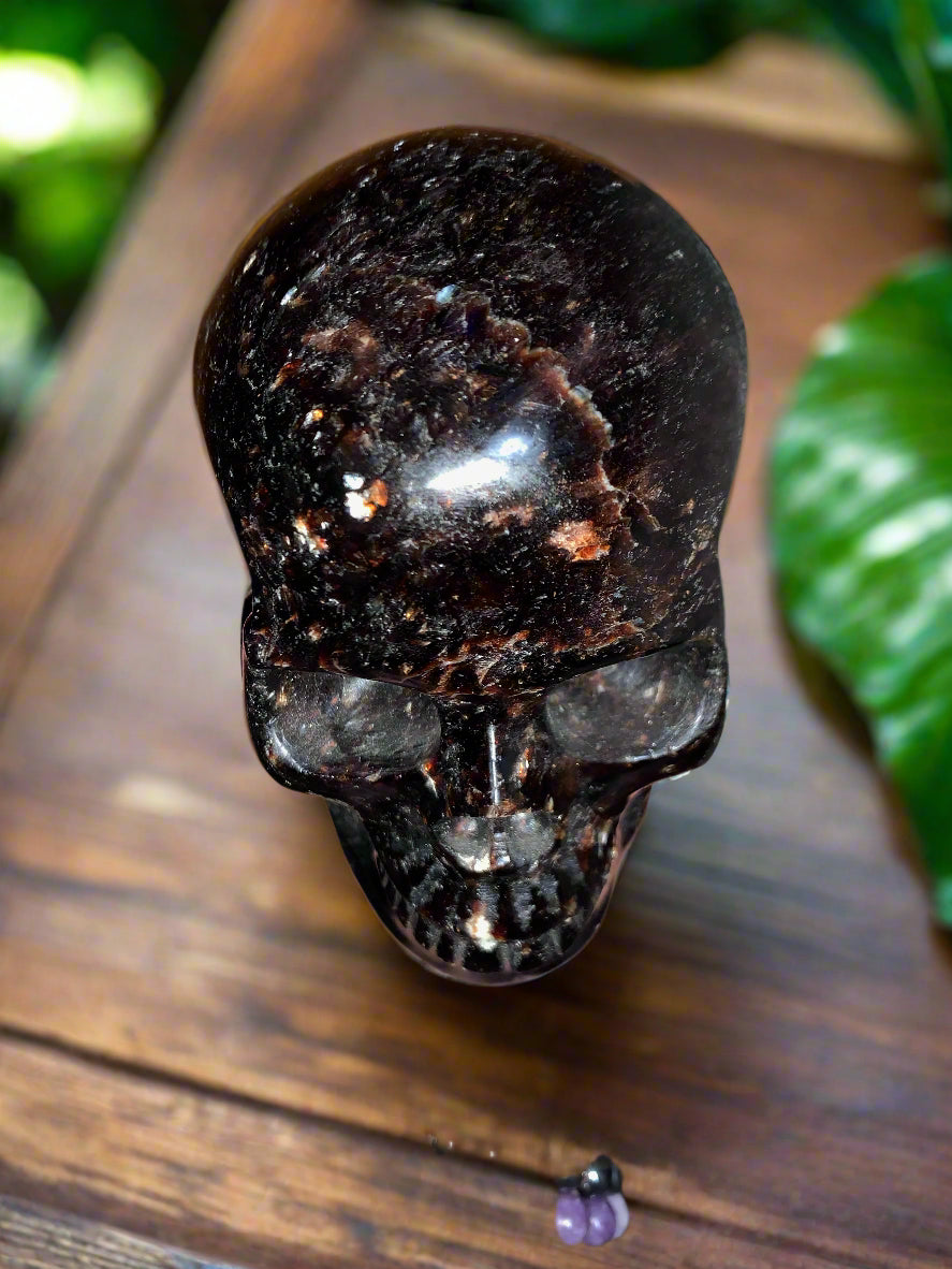 5.3" Garnet, Astrophyllite & Pyrite Skull