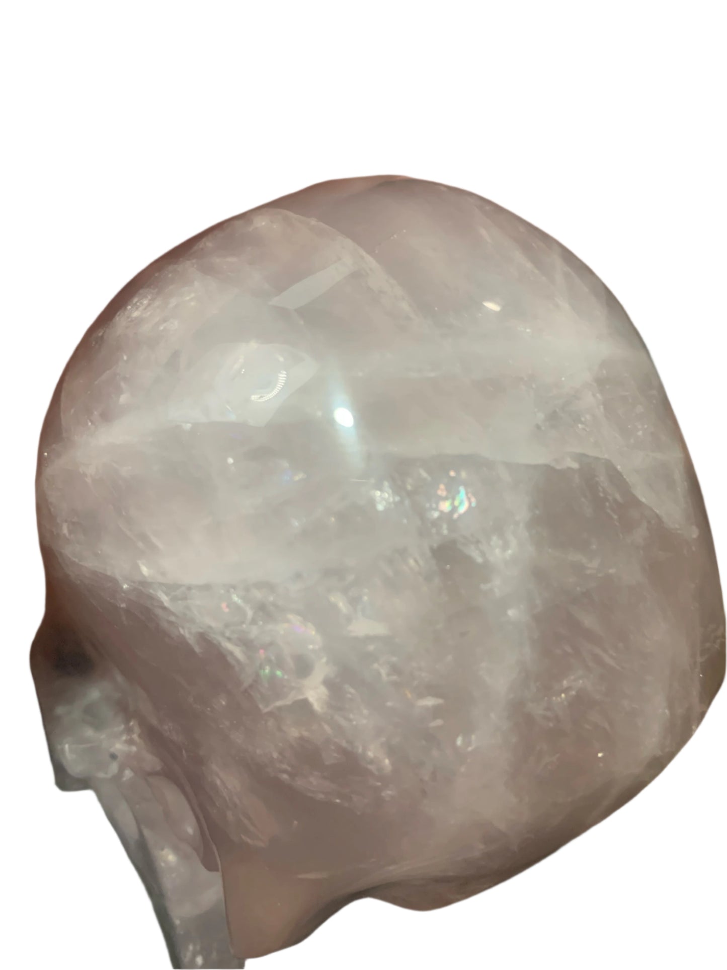 5.3" Rose Quartz Skull w/ Rainbows