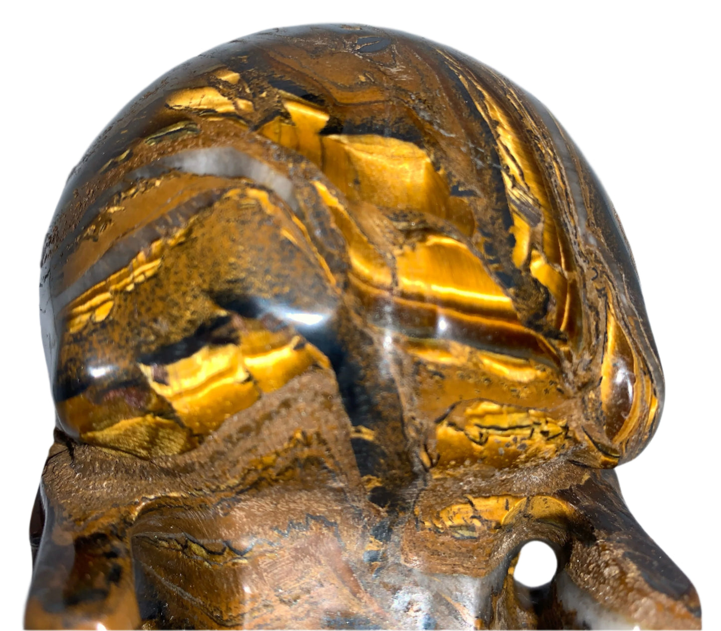 Cráneo de ojo de tigre Chatoyant de 5,2"