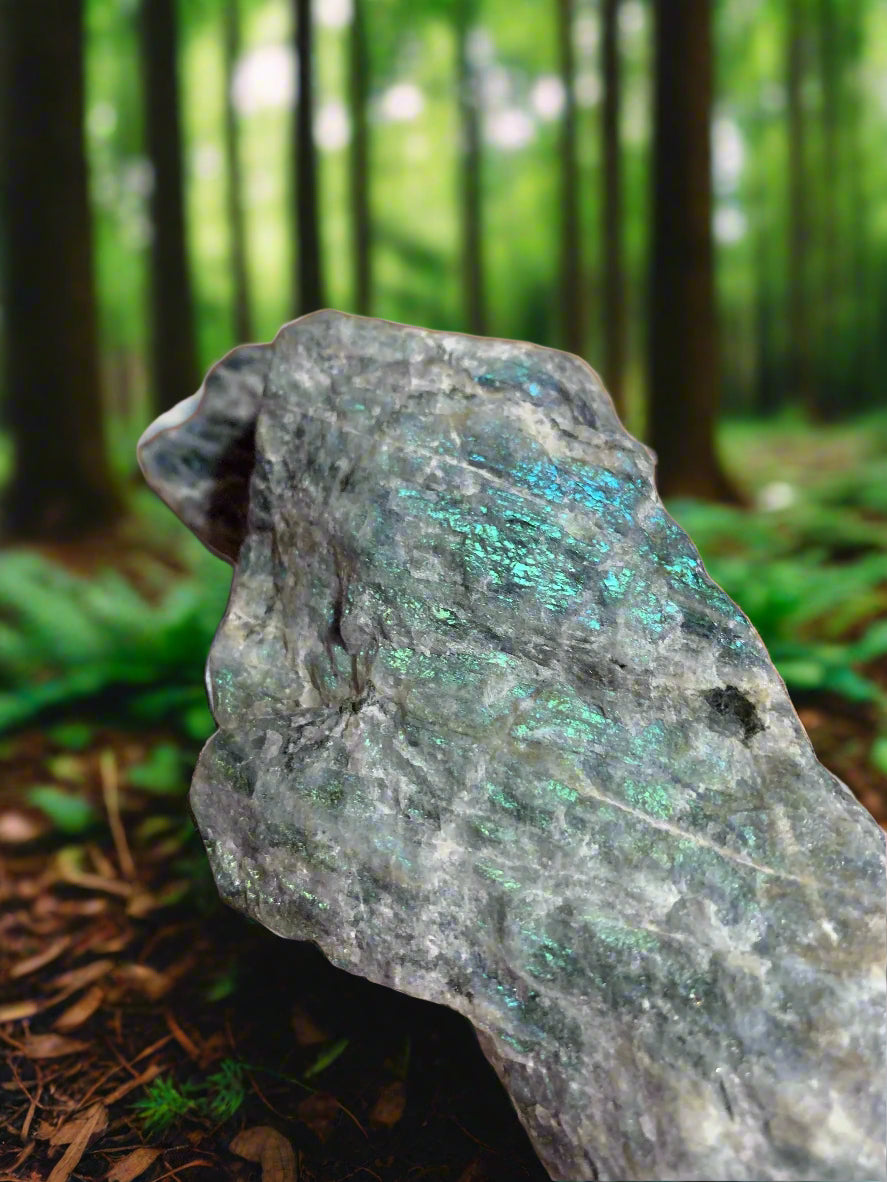 1lb 13oz Freeform Multicolor Flash Labradorite