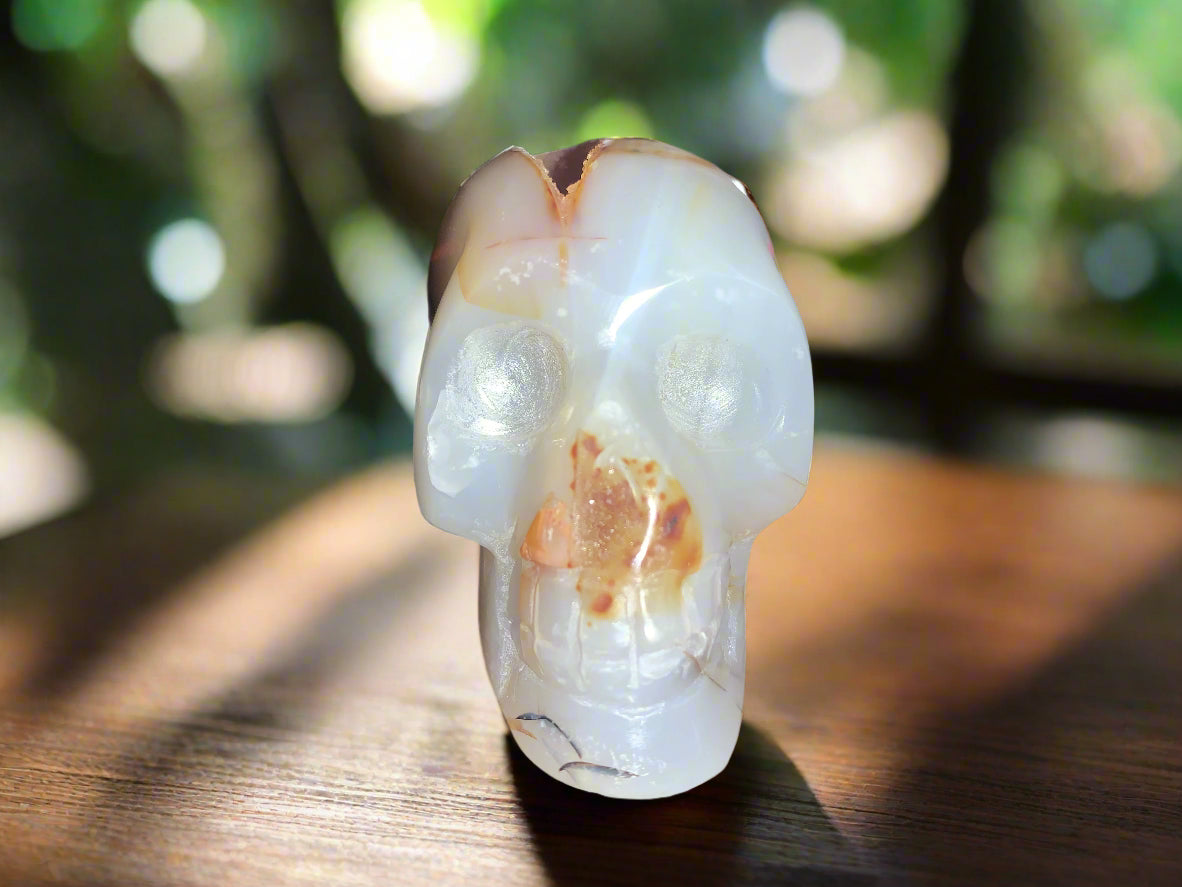3" Chalcedony & Carnelian Skull w/ Druzy